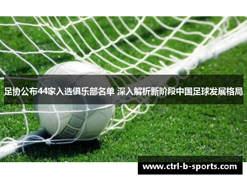 足协公布44家入选俱乐部名单 深入解析新阶段中国足球发展格局