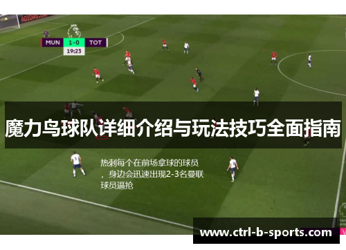 魔力鸟球队详细介绍与玩法技巧全面指南