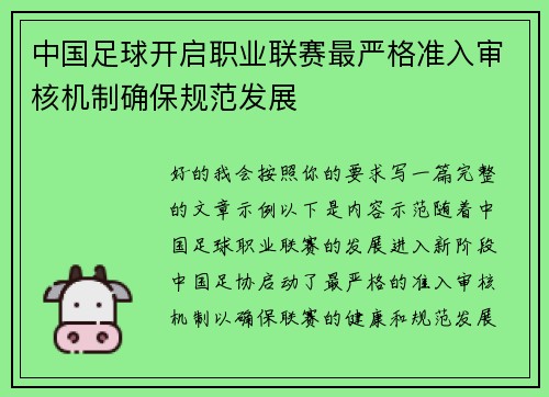 中国足球开启职业联赛最严格准入审核机制确保规范发展