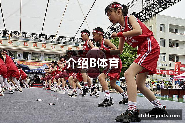 介绍B体育